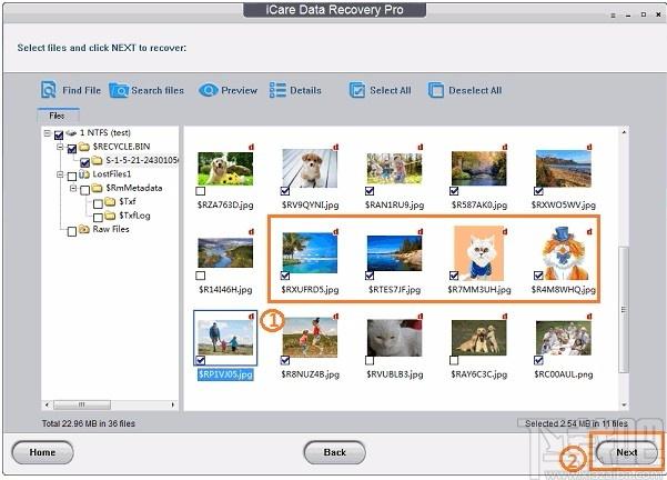 iCare Photo Recovery下载,照片恢复软件,照片恢复