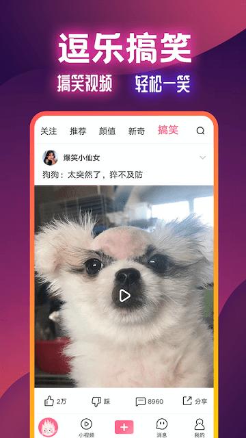 火苗视频官方版下载,火苗视频,短视频app,搞笑app